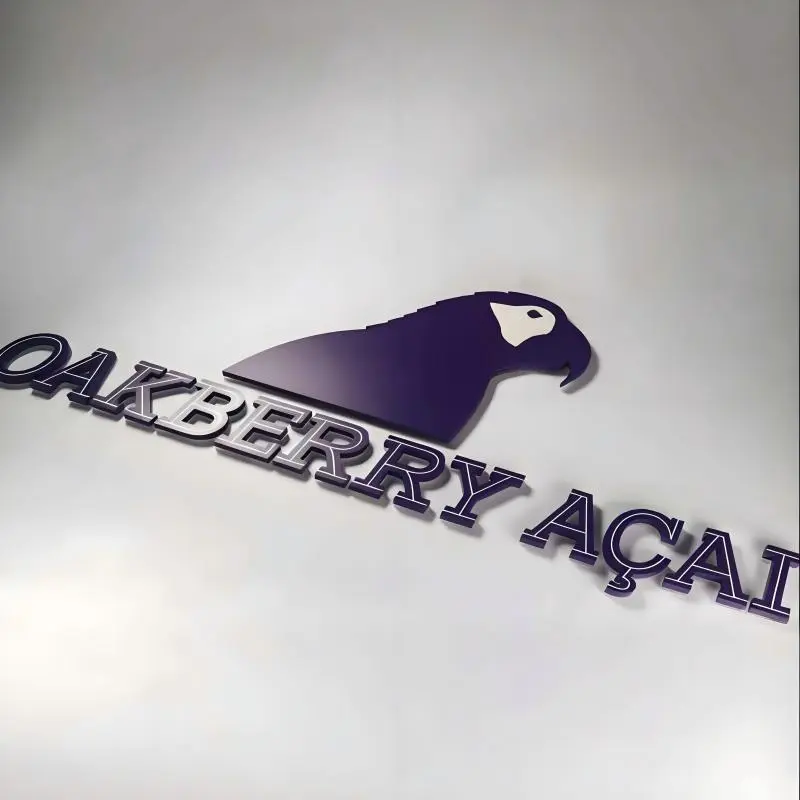 Premium Rose Gold Stainless Steel Backlit House Numbers for Home-1.jpg